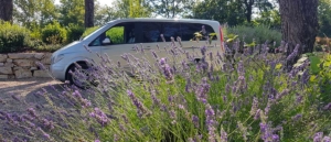 wine tour adventure tuscany - transfer