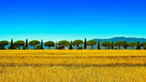 wine tour adventure - tuscany - home