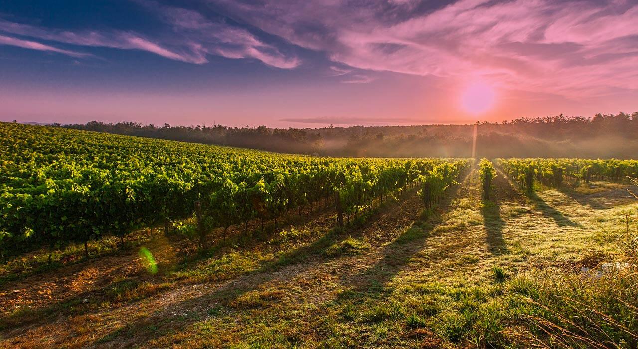 wine tour adventure - tuscany - chianti sunset