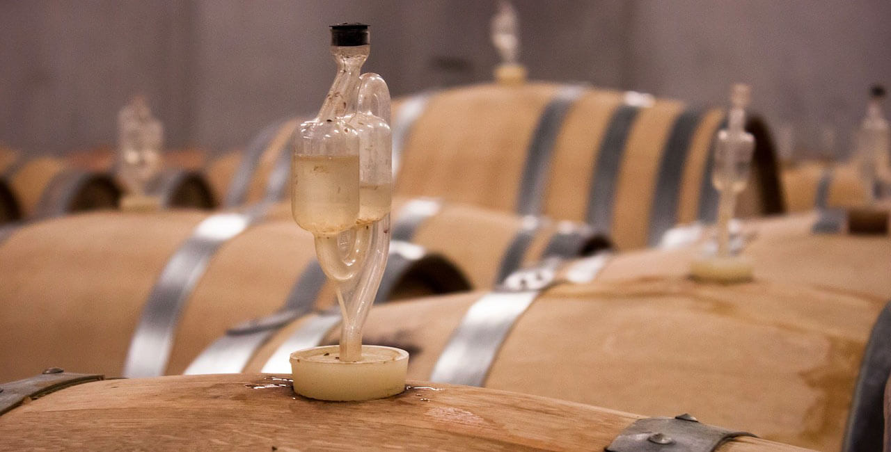 wta-wine-school wine tour adventure - sights shops -5 terre
