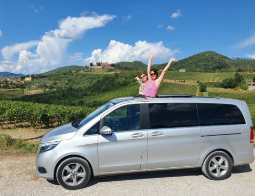 BROLIO CASTLE & CHIANTI WINE TOUR