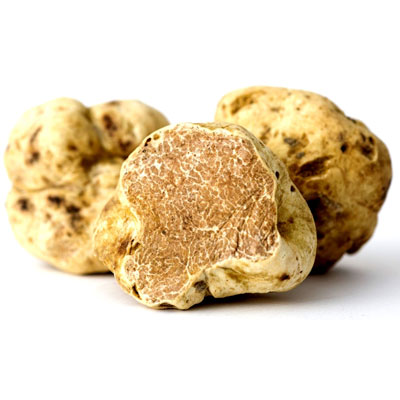 white-precious-truffles
