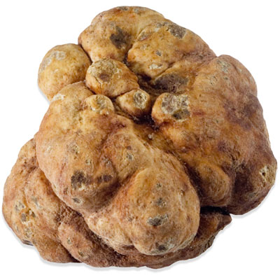 whitish-bianchetto-truffles