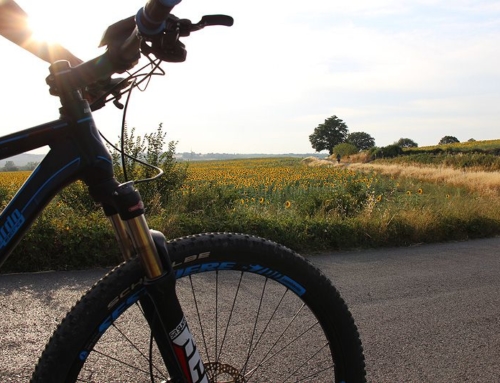 SMALL GROUP E-BIKE CHIANTI TOUR