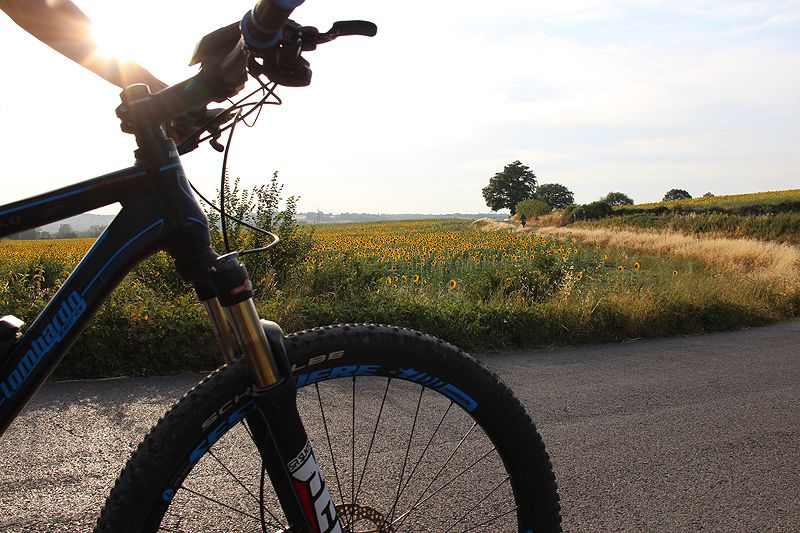 wta-biking_tuscany
