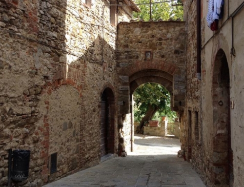 SMALL GROUP CHIANTI & CASTLE WINE TOUR