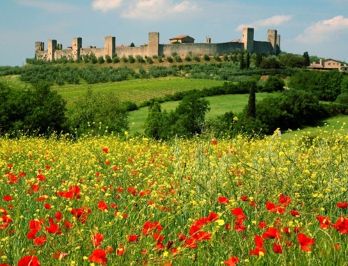 MONTERIGGIONI HIKE with wine tasting