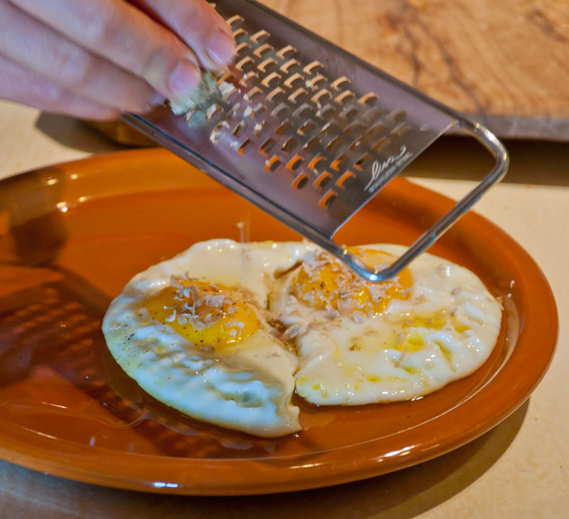 wta-truffle-hunting-brunch-in-tuscany