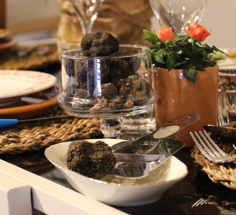 wta-truffle-hunting-tuscany-lunch
