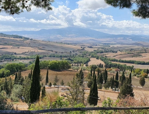 SMALL GROUP PIENZA & MONTEPULCIANO TOUR