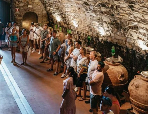 HALF DAY CHIANTI WINE GROUP TOUR