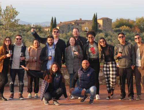 FULL DAY WINE & FOOD GROUP TOUR
