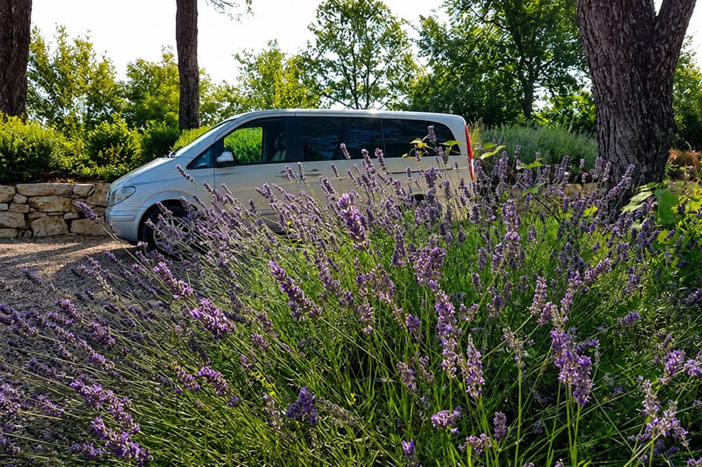 wine tour adventure tuscany - transfer